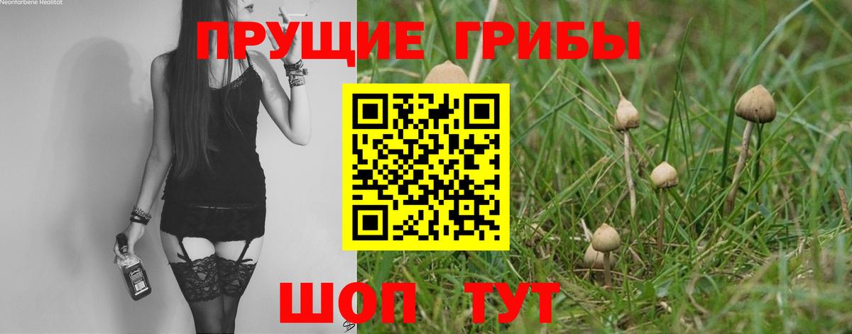 Галлюциногенные грибы прущие грибы  Вход с VPN  Анжеро-Судженск 